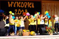 Wykopki 2018