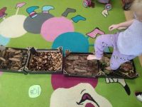 W przedszkolu Gramy zmysłami