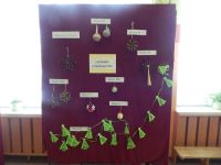 Konkursy plastyczne rozstrzygnięte...