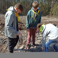 Las ku pamięci Jana Pawła II