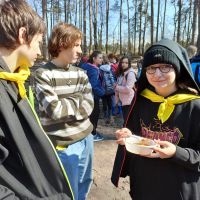 Las ku pamięci Jana Pawła II