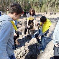 Las ku pamięci Jana Pawła II