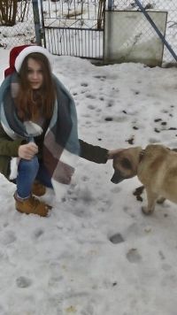 Mikołajki dla czworonogów