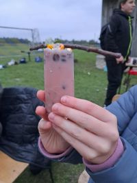 Ognisko integracyjne