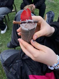 Ognisko integracyjne