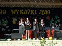 Wykopki 2019