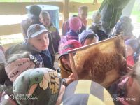 Program edukacyjny Skąd się biorą produkty ekologiczne?