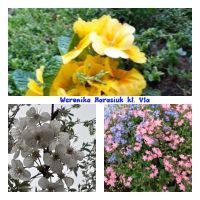 Rozstrzygnięcie konkursu