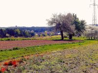 Moja mała Ojczyzna i jej piękno