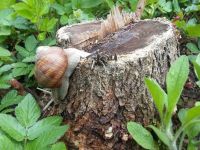 Moja mała Ojczyzna i jej piękno