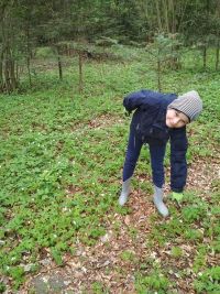 Moja mała Ojczyzna i jej piękno