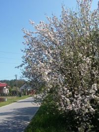 Moja mała Ojczyzna i jej piękno