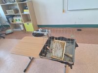 Spotkanie z pszczelarzem