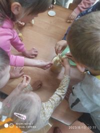 Spotkanie z pszczelarzem