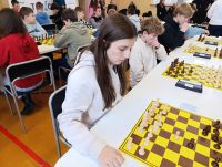 Udane szachowe mistrzostwa