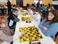 Udane szachowe mistrzostwa