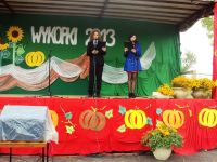 Wykopki, wykopki i po wykopkach...