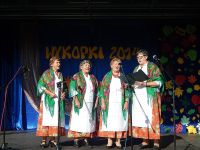 Wykopki 2014