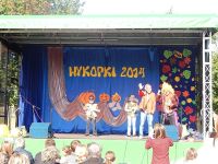 Wykopki 2014